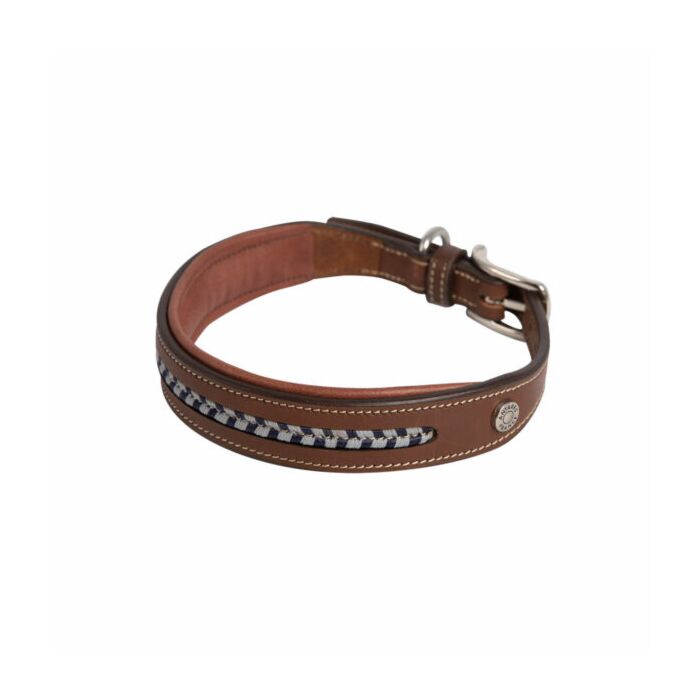 Antares Leather Dog Collar