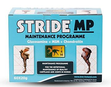 TRM Stride MP 60 x 20g